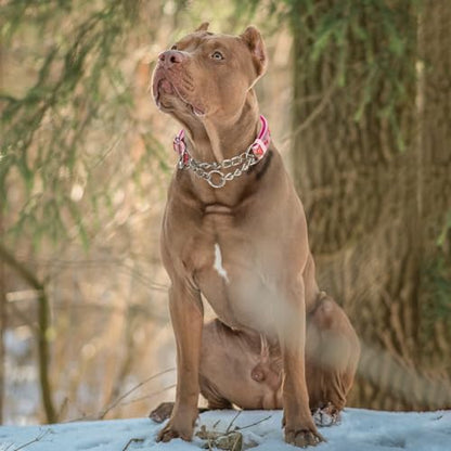 Rose Flower Pattern Martingale Collar, Reflective No-Pull Adjustable Dog Training Collar with Chain for Medium, Large & XL Breeds(Medium Rose) - color: 15, size: M(Neck12"-17")