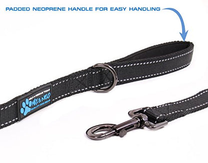 Max and Neo Reflective Nylon Dog Leash - Purple, 4 Feet - color: PURPLE, size: 4 FT x 1" Wide