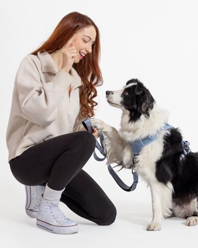 Classic Dog Leash - 4FT, Dual Padded Handles, 360° Swivel Hook, Heavy Duty 210D Nylon - No-Pull Design with Traffic Control Handle - for Small/Medium/Large Dogs,Sky Blue - color: Sky Blue, size: 4FT