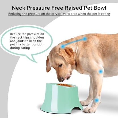 Tilted Elevated Dog Bowls Non-Slip & Non-Spill Pet Feeder with Elevated Detachable Melamine Stand, High Capacity Tilted Dog Bowl for Medium Small Size Dogs M/2 Cup Green - color: Green, size: M/2 Cup