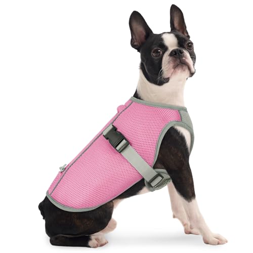 FUAMEY Dog Cooling Vest for Hot Weather, Breathable Cooling Shirt for Dogs Walking, Summer Heat Puppy Vest with Buckle and Adjustable Fit, Pink, S - color: Pink, size: Small