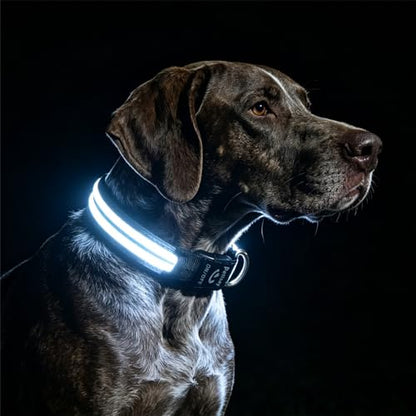 Dog Light up Collar for Night Walking - High Visibility LED Dog Collar - Rechargeable - Waterproof - Reflective - Adjustable Lighted Glow Collars(White,Large) - color: White, size: Large (18" - 23")