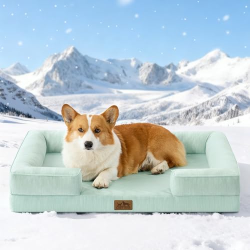 COZY KISS Cooling Dog Bed for Large Medium Size Dogs, Q-Max >0.4 Summer Cool Orthopedic Foam Pet Sofa Bed with Sides, Bolster Anti-Slip Couch with Washable Removable Cover, L 36x27x6.5 inch, Green - color: Green, size: 36x27x6.5 inch