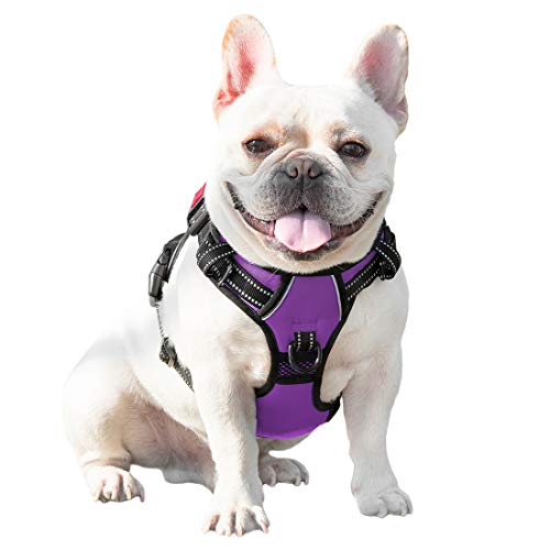 PHOEPET No Pull Dog Harnesses for Small Dogs Reflective Adjustable Front Clip Vest with Handle 2 Metal Rings 3 Buckles [Easy to Put on & Take Off](XS, Purple) - color: Purple, size: Extra Small