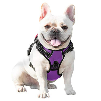 PHOEPET No Pull Dog Harnesses for Small Dogs Reflective Adjustable Front Clip Vest with Handle 2 Metal Rings 3 Buckles [Easy to Put on & Take Off](XS, Purple) - color: Purple, size: Extra Small