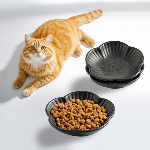 Cat Food Bowls, Ceramic Cat Plates, Dish for Food, Water and Snack, 4.72 Inch, Indoor and Outdoor Use, Kitten Puppy and Small Animals Bowls Set of 3 (Black) - color: black