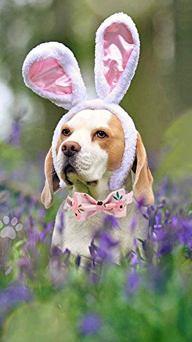 Elegant little tail Dog Collar with Bow, Comfotable Dog Bowtie, Bowtie Dog Collar Adjustable Dog Collars for Small Medium Large Dogs and Cats - color: pink flower, size: X-Small (Pack of 1)