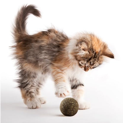 Natural Catnip Toys for Indoor Cats Interactive Cat Nip Balls, 5Pcs, 2 Catnip, 2 Silvervine, and 1 Gall Fruit Ball - size: 5 Pack, style: Catnip Ball