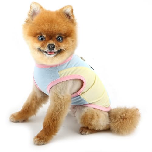 PAIDEFUL Summer Cooling Dog Shirt for Small Dogs Breathable Mesh Pet T-Shirts UV Sun Protection Puppy Vest Soft Lightweight Doggie Tank Top Fashion Chihuahua Tee Clothes Cat Apparel D-Ring,Blue,M - color: blue, size: M
