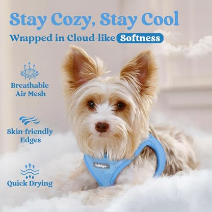 rabbitgoo Small Dog Harness, Step-in Soft Mesh Puppy Vest with Safety Buckle, Breathable Reflective Pet Harness for Small Sized Dogs, Blue XS - color: Blue, size: Xs(chest:13.3"-15.5")