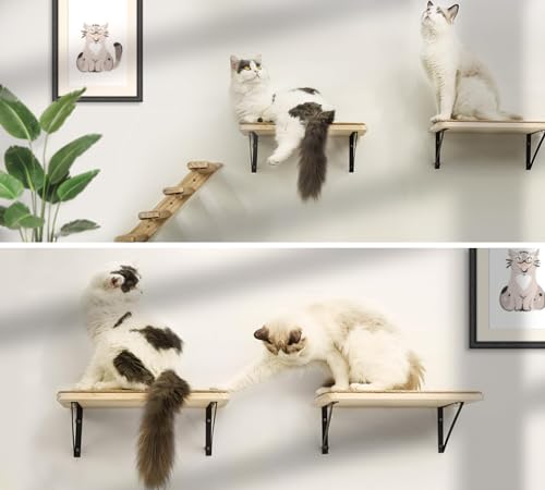 2PCS Cat Wall Shelves with Scratching Mat, 16.6x9.7 Inch Solid Pine Wood Wall Mounted Kitten Floating Shelf, Window Perch Hammock, Cats Wall Furniture for Cats Sleeping, Playing, Climbing - color: Wood Shelf, size: Double Shelf (2 Pieces)