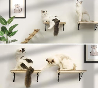 2PCS Cat Wall Shelves with Scratching Mat, 16.6x9.7 Inch Solid Pine Wood Wall Mounted Kitten Floating Shelf, Window Perch Hammock, Cats Wall Furniture for Cats Sleeping, Playing, Climbing - color: Wood Shelf, size: Double Shelf (2 Pieces)