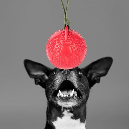 Fuzzl Eco Rubber Chuck & Treat Soccer Ball - Red - Long Lasting Dog Chew Toys for Aggressive Chewers Strong Dog Toy for Dogs Durable Puppy Toys 13cm - style: Football Red