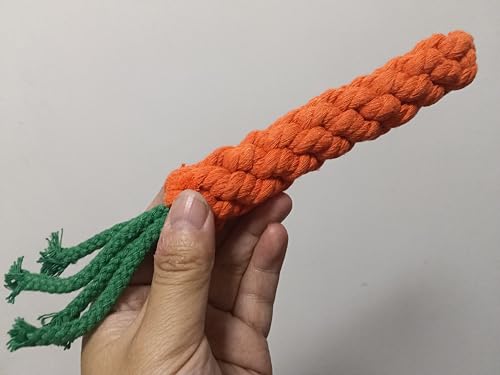 Handmade Braided Carrot Shape Chew Toy, Orange with Green Leaves, 8.66 Inch Length, Durable Pet Dental Toy, (1 Piece Set)