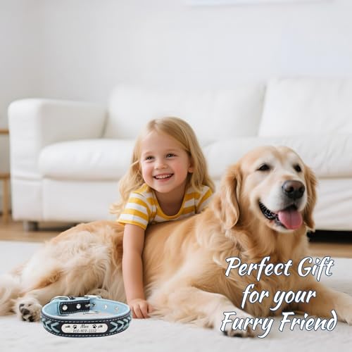 Personalized Dog Collar, Braided Custom PU Leather Dog Collars with Name and Phone Number Engraved Nameplate for Small Medium Large Dogs (Dog Collar)