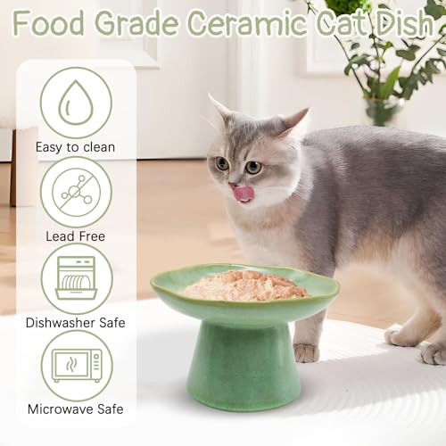 VCEPJH Raised Cat Food Bowls Shallow Cat Plate Ceramic Elevated Cats Dish 6.1in Flat Anti Whisker Fatigue Wide Pet Food & Water Feeder for Indoor Kitty Kitten (Green) - color: green