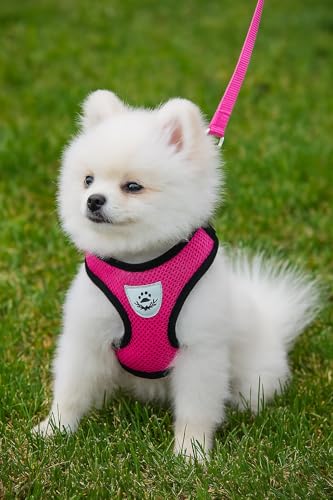 No-Pull Dog Harness, Adjustable Reflective Vest with Quick Release Buckle, Breathable Mesh - color: Orange, size: M **Runs small – Size up**