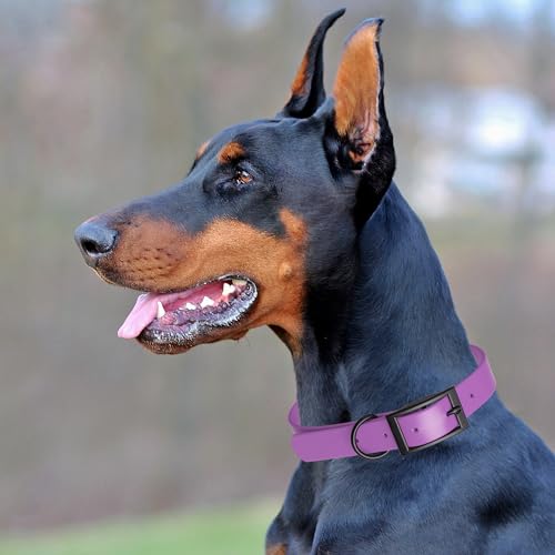 Dogline Biothane Waterproof Dog Collar Strong Coated Nylon Webbing with Black Hardware Odor- Proof for Easy Care Easy to Clean High Performance Fits Small Medium or Large Dogs, Amethyst Purple