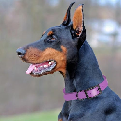 Dogline Biothane Waterproof Dog Collar Strong Coated Nylon Webbing with Black Hardware Odor- Proof for Easy Care Easy to Clean High Performance Fits Small Medium or Large Dogs, Amethyst Purple
