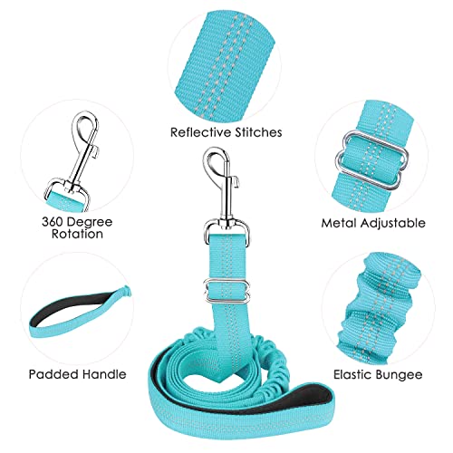Lukovee No Pull Dog Harness and Leash Set, Soft Padded Small Dog Harness, Neck & Chest Adjustable Reflective Vest Puppy Harness with 4ft Lightweight Anti-Twist Dog Leash for Small Dogs (XXS, 01-LBL) - color: Light Blue - with Stripe, size: XXS ( Chest 11.