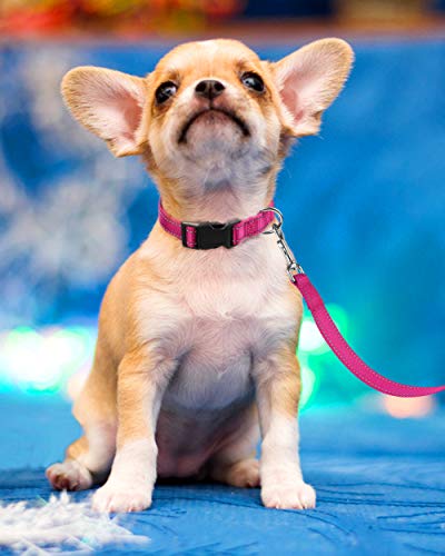 Reflective Dog Collar, Sturdy Nylon Collars for Puppy and Extra Small Girl and Boy Dogs, Adjustable Dog Collar with Quick Release Buckle,Pink,5/8" Width - color: Pink, size: X-Small Plus (Pack of 1)