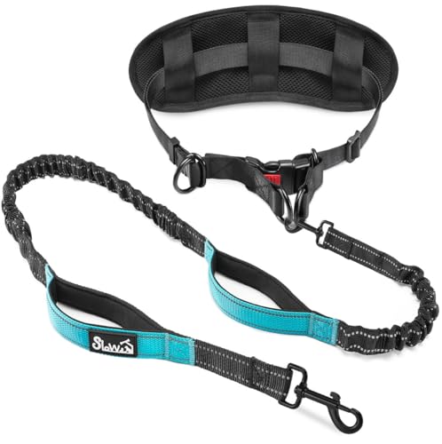 SlowTon Hands Free Dog Leash - with Removable Zipper Pouch, Shock Absorbing Bungee, Dual Handle & Reflective Stitches, Wide Padded Adjustable Waist Leash for Dogs Walking Running (M, for 1 Dog) - size: Medium for 8 - 25 lbs