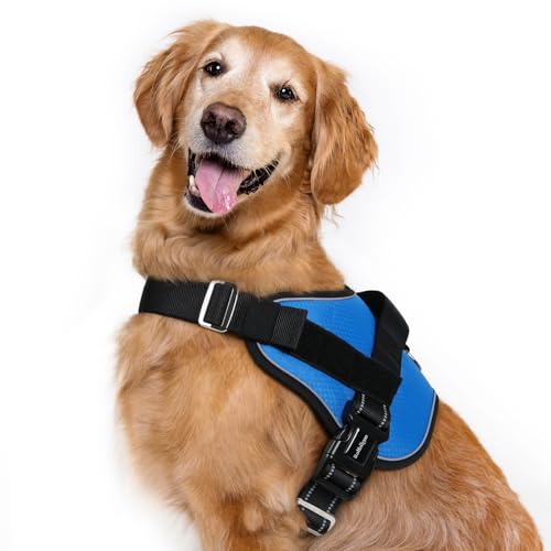 rabbitgoo Dog Harness for Large, Easy On Pet Vest with One Buckle, No Pull Adjustable Service Harness with D-Ring & Handle, Reflective for Safety Walking, Training, Blue, XL - color: Blue, size: X-Large
