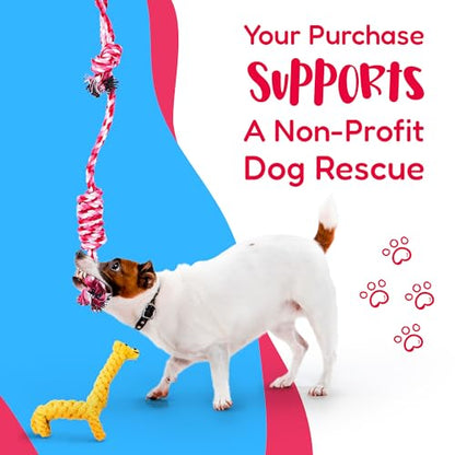 Pacific Pups Products Dog Rope Toys for Medium Dogs 11 Pack (2 Pack) - size: 22 Pack