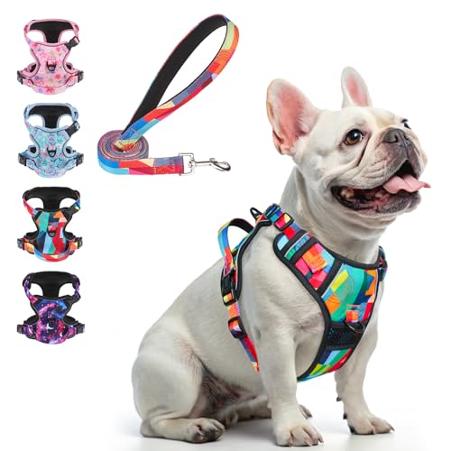 BEAUTYZOO No Pull Dog Harness Small, Adjustable Dog Harness and Leash Set -Easy Wearing with 3 Buckles/Control Handle,No Choke Soft Padded Reflective Pet Vest for Training Walking Hiking, S - color: Geometry, size: S: chest 14"-24"
