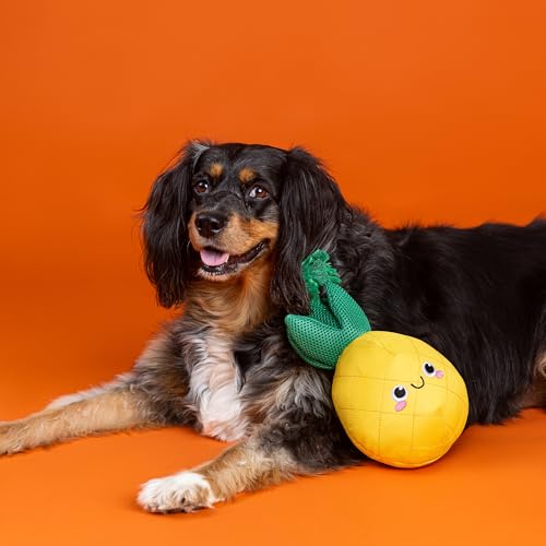 Fringe Studio Floating Dog Toy with Rope The Water is JUST Pine, Pet Shop Collection (640015) - color: The Water Is Just Pine