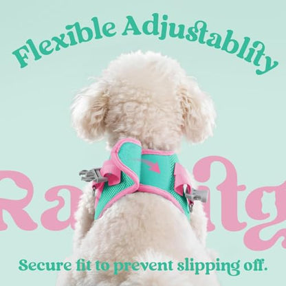 rabbitgoo Dog Harness Small Sized and Leash Set, Step-in Breathable Pet Harness, Soft Walking Reflective Puppy Vest for Small Dogs, Teal & Pink, XXS - color: Teal & Pink, size: XXS (Chest: 12.4 - 14.2")