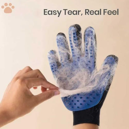 CealumVita Deshedding Glove and Cat Steam Brush,cat grooming set，pet hair removal tool ，with Massage for Dogs and Cats Grooming (Beige spray cmb+gloves-1pair) - color: Beige spray cmb+gloves-1pair