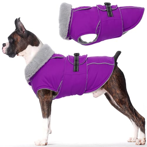 Lelepet Warm Dog Winter Coats for Medium Dogs Waterproof Dog Jacket Reflective Pet Fleece Vest Windproof Cold Weather Coats with Adjustable Buckle & Leash Hole, Purple, M - color: Purple, size: M