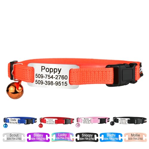 GoTags Personalized Cat Collars with Tag, Engraved Custom Cat Collar with Name and Phone, Breakaway Collar with Safety Buckle and Bell, Adjustable for Cats and Kitten (Orange with Nameplate) - color: Orange, size: One-Size (Classic)