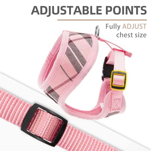 PUPTECK Soft Mesh Dog Harness and Leash Set Pet Puppy Cat Comfort Padded Vest No Pull Harnesses, Light Pink, XS - color: Light pink, size: XS (NECK: 10", CHEST: 10"-14")