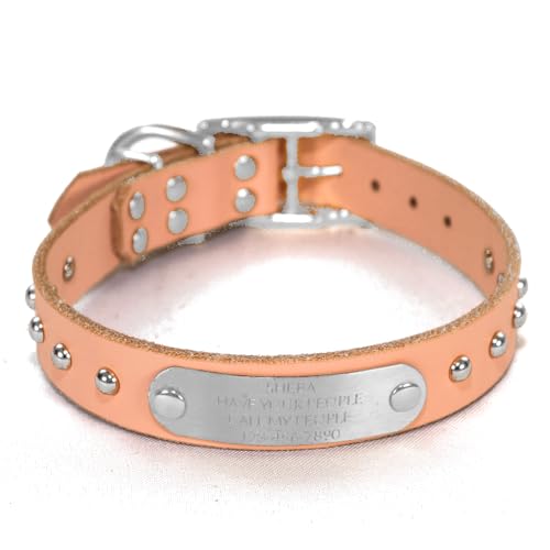 Handmade Studded Bridle Leather Dog Collar, Silver Tone Hardware and Stainless Steel Nameplate (Blush Pink) - color: Blush Pink