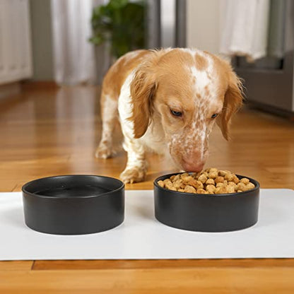 NAT & Jules Nibbles and Dribbles Black 5 inch Stoneware Small Pet Bowls Set of 2