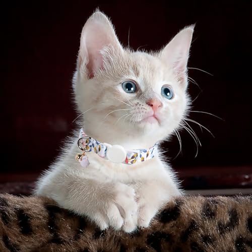 Unique style paws 2 Pack Kitten Collar Breakaway with Bell & Pendant, Adjustable Safety Cat Cotton Collars for Girl Boy Cats and Small Pets - color: blue & pink flower