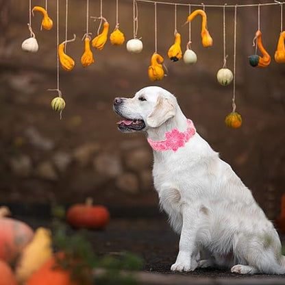 Dog Collar, Pink Pumpkin Print Adjustable Pet Collar Cute Cotton Soft Collars with Flower Fall Metal Buckle Holiday Puppy Collars Boy&Girl Gift for X-Small Dogs - color: B:Pink Pumpkin, size: X-Small (Pack of 1)
