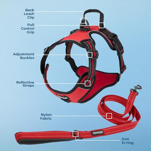 Voyager Dog Harness Dual Leash Attachment No-Pull Control Adjustable Soft but Strong Pet Harness for Medium and Large Dogs with 3M Reflective Technology, Leash Set Red Nylon, XS (Chest: 13-16") - color: Leash Set Red Nylon, size: XS (Chest: 13 - 16")