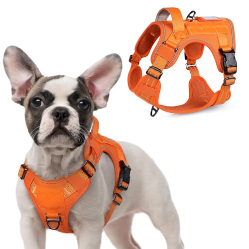 rabbitgoo Tactical Dog Harness for Small Dogs, No Pull Military Service Vest with Handle & Molle, Easy Control for Training Walking, Adjustable Reflective Straps, Orange, S - color: Orange, size: Small