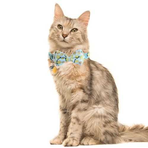Cat Collar Breakaway with Cute Bow Tie Bandana and Bell Fruits Accessories for Kitty Adjustable Safety - color: lemon