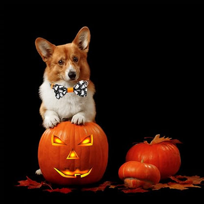 Halloween Dog Collar with Bowtie, Holiday Adjustable Ghost Print Collar with Sturdy Buckle, 3 Sizes for Small Medium Large Dogs Pets Puppies - color: Chasing Ghosts, size: Small-(11"-17") Neck * 5/8" Wide