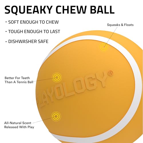 Playology Dog Toys | Squeaky Chew Ball - Bouncy Durable Floating Fetch Ball for Dogs | Jumbo Cheddar Cheese Scented Toy - Easy to Clean and Made from Non Toxic Materials - size: Jumbo, style: Cheddar Cheese