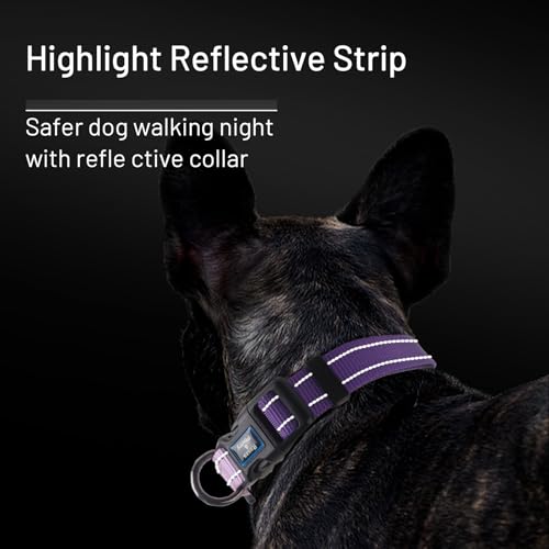 Roses&Poetry Small Dog Collar, Adjustable Reflective Puppy Collars Durable Pet Collars for Small Medium Large Dogs(Lightpurple-S) - color: LightPurple, size: S