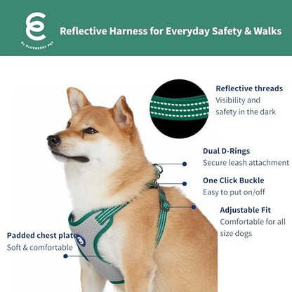 Blueberry Pet Essentials Back to Basics Reflective Dog Harness Vest, Dark Green, Small, Adjustable Harnesses for Dogs - color: Dark Green, size: Small (Pack of 1)
