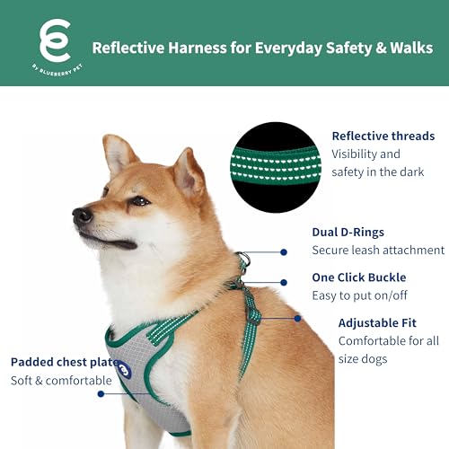 Blueberry Pet Essentials Back to Basics Reflective Dog Harness Vest, Dark Green, Large, Adjustable Harnesses for Dogs - color: Dark Green, size: Large (Pack of 1)