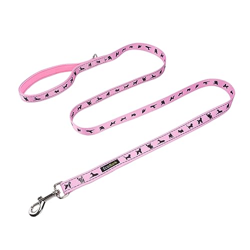 EcoBark Teacup Dog Leash - Soft & Reflective Toy Breed Leashes with Padded Handle - Strong & Durable - Training and Pulling for Tiny & Small Dogs (Baby Pink) - color: Baby Pink, size: 6 ft x 5/8 in - Thinnest Width