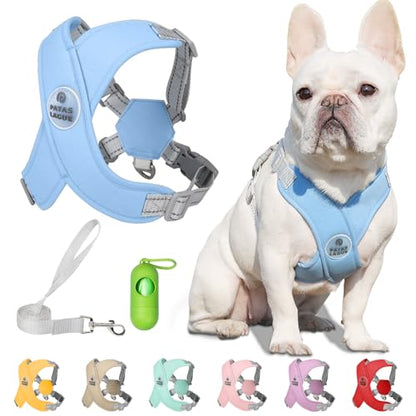 Dog Harness with Leash Set Adjustable Soft Padded Step-in Dog Vest No Choke No Pull Reflective for Small Pets with Poop Bags and Dispenser, Solid and No-chew, Blue XS - color: Blue, size: XS (Neck 16-19.1'' Chest 18.8-21.5'')