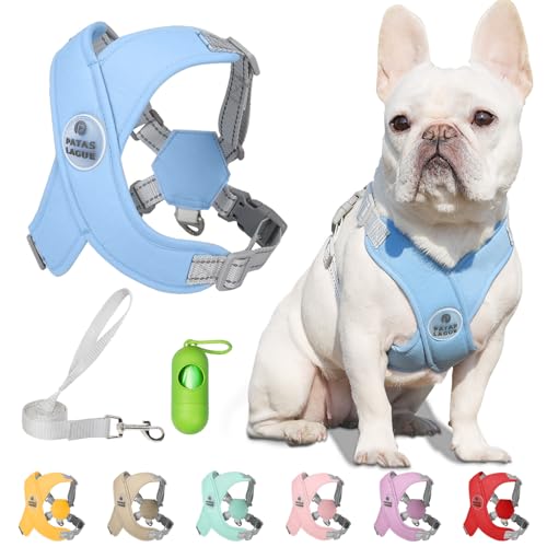 Dog Harness with Leash Set Adjustable Soft Padded Step-in Dog Vest No Choke No Pull Reflective for Small Medium Pets with Poop Bags and Dispenser, Solid and No-chew, Blue S - color: Blue, size: S (Neck 18.1-21.2'' Chest 21.2-25.2'')